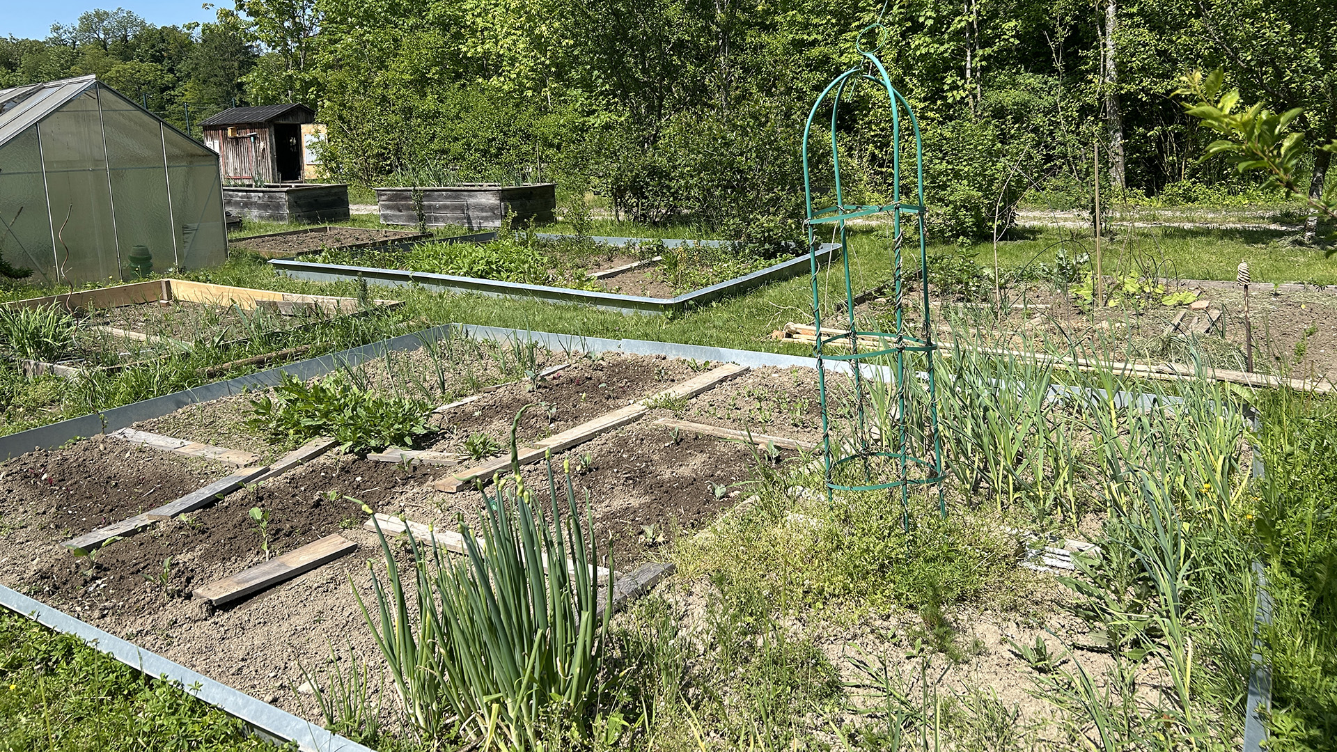 Gemeinschaftsgarten_Allhartsberg