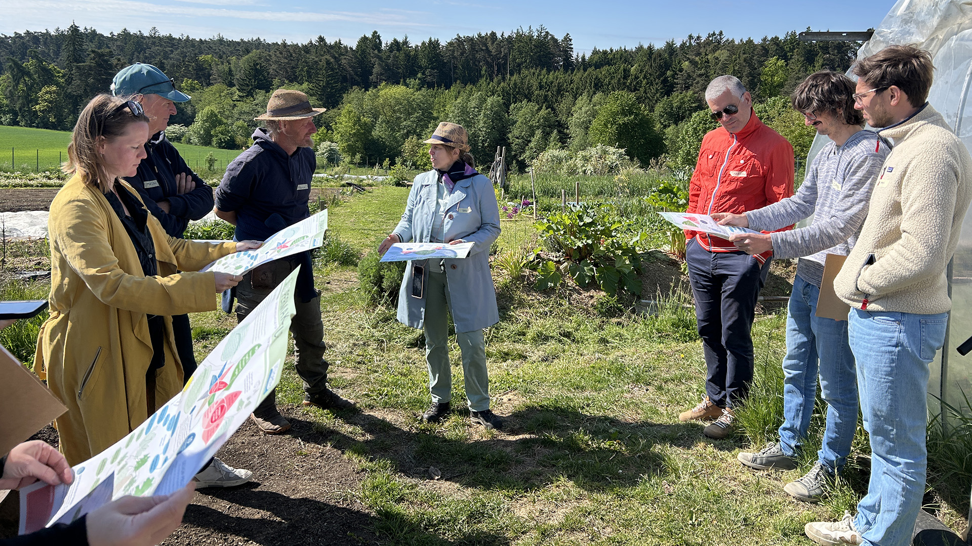 Gemüsegut Neustift bei Obritzberg