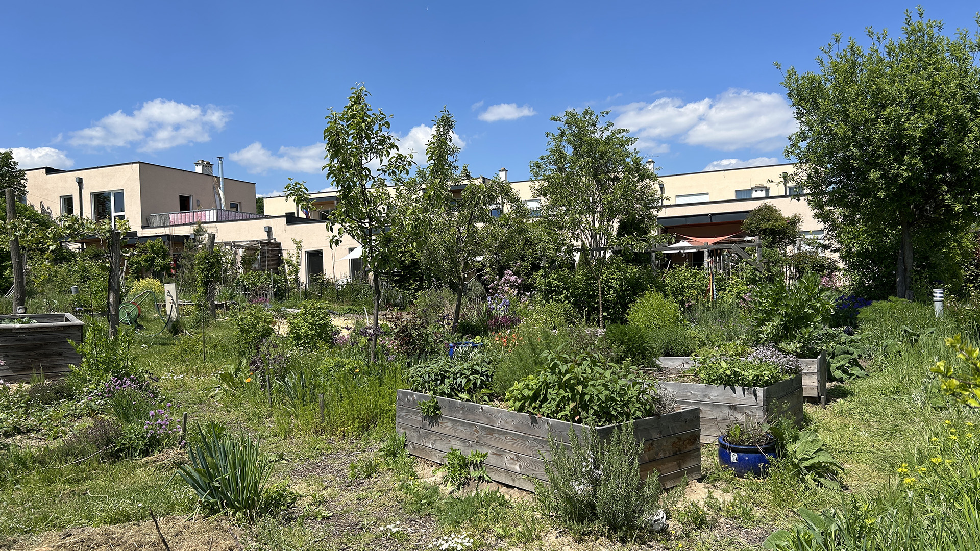essbare_Landschaft_Cohousing_Pomali